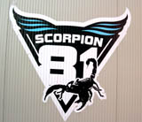 spalatoria scorpion81